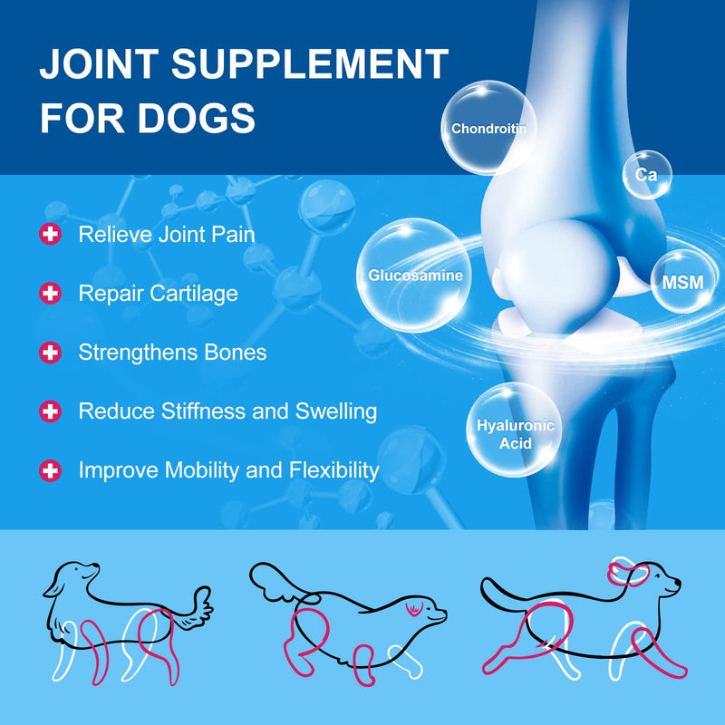 Dog Vitamins Powder with Probiotics for Dogs