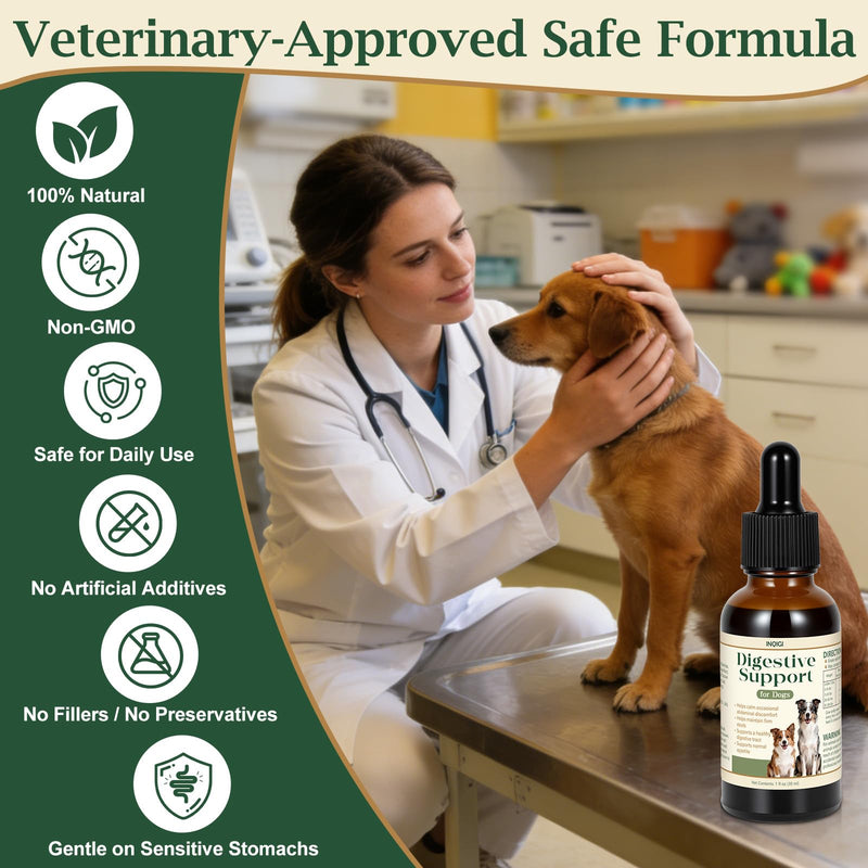 Digestive Support for Dogs and Puppies – Helps Maintain Stool Consistency, Gut Health & Appetite During Occasional Upset Stomach or Diet Changes, Sensitive Stomach Formula, 1 fl oz