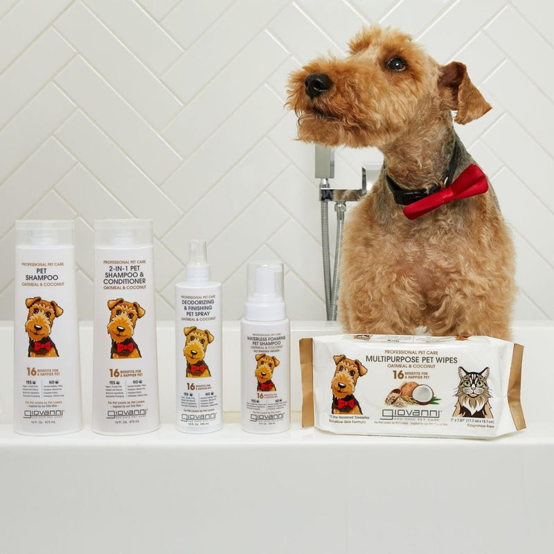 GIOVANNI Professional Pet Shampoo - Oatmeal & Coconut, Aloe Vera, for All Dog Fur Types, Deeply Cleanses, Silkens, Helps Neutralize Odors, Controls Static - 16 oz 16 Fl Oz (Pack of 1) - PawsPlanet Australia