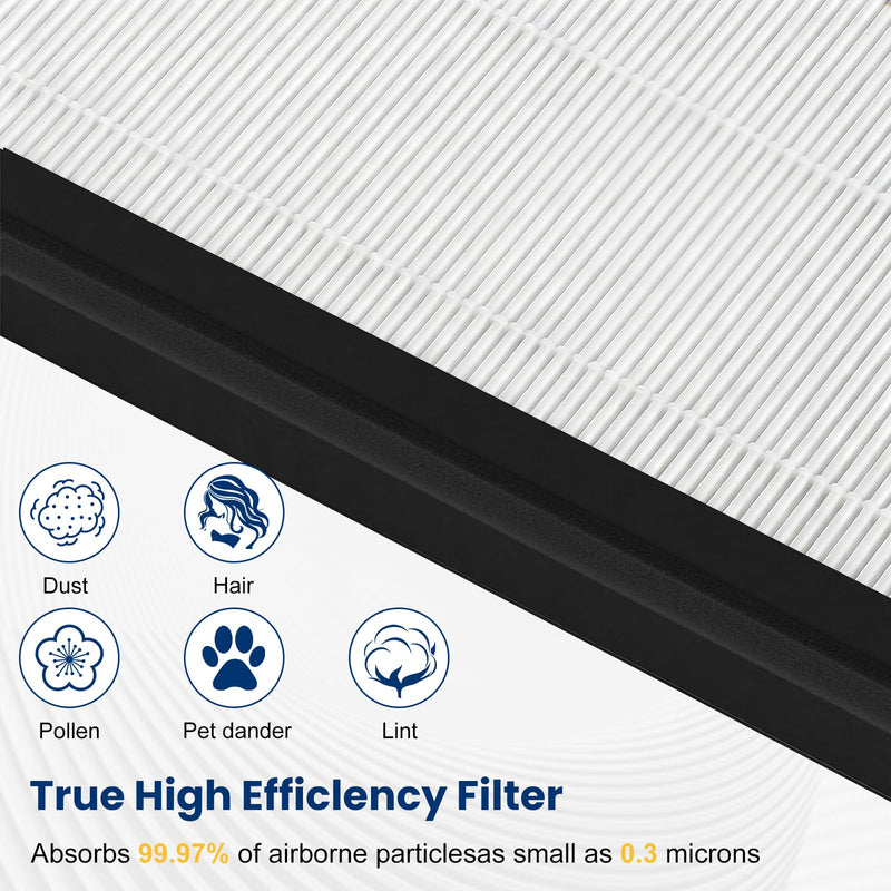 4 Pack HAP602 Replacement Filter for ECOSELF HAP602 & HAP602WF Air Purifier Black-4 Pack