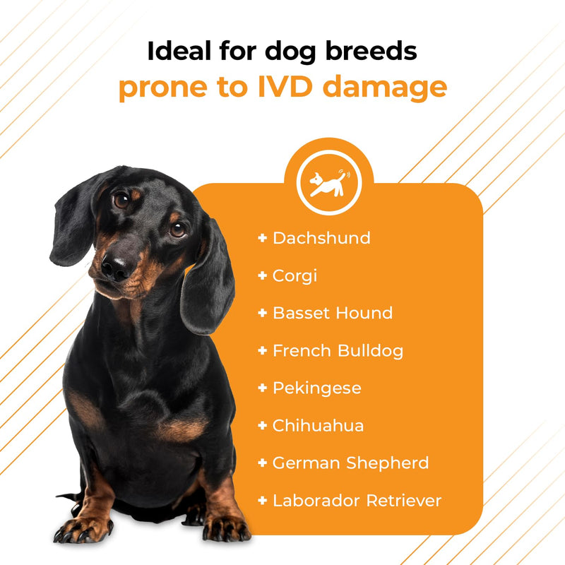 VetriScience Healthy Spine & Disc Easy-Open Capsules, Back & Spinal Support Chondroitin & Taurine Supplement for Dogs, Perfect for Dachshunds, Corgis, Frenchies & More, 180 Count 180 Tablets for All Dogs Capsule