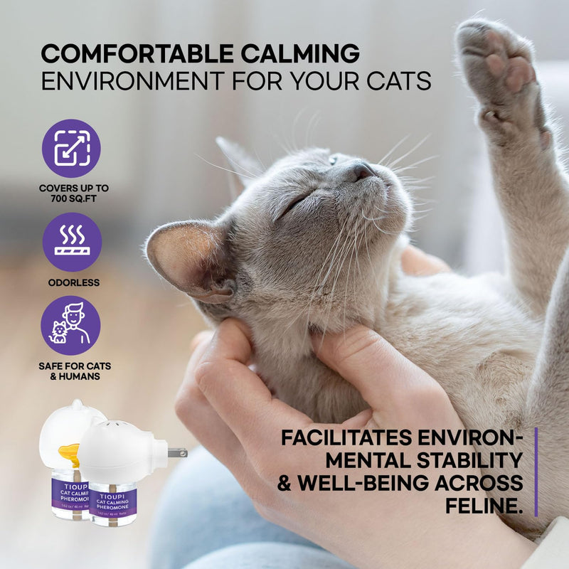 Cat Pheromones Calming Diffuser: Premium Cat Calming Diffuser - cat Calming pheromone Diffuser - cat pheromone Diffuser - cat Diffuser Calming - pheromone Diffuser to Calm Cats, 2 Pack - PawsPlanet Australia