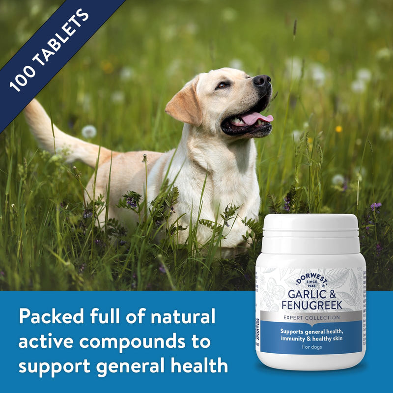 Dorwest Herbs Garlic And Fenugreek Tablets For Dogs And Cats 100 Tablets
