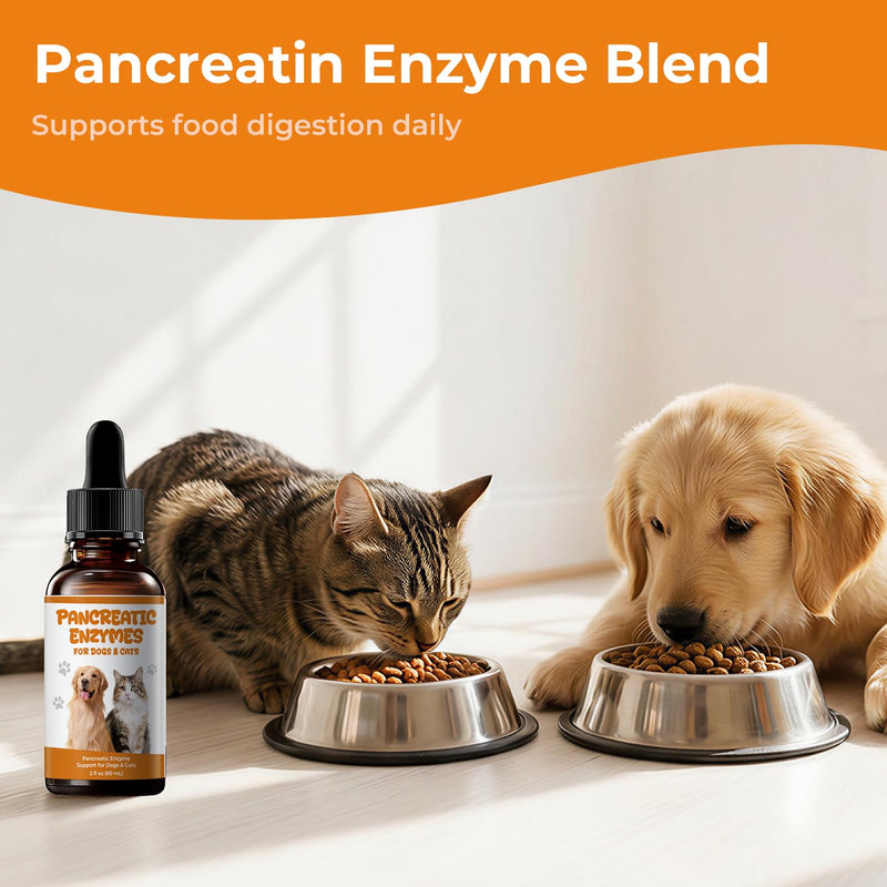 Pancreatic Enzymes for Dogs Drops - Pancreatin Digestive Enzyme Liquid for Pets with EPI, Supports Food Breakdown, Nutrient Use & Stool Consistency - 2 fl oz