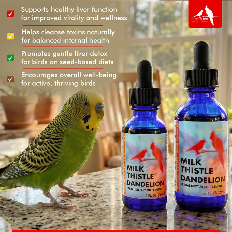 Morning Bird Milk Thistle & Dandelion Extract 2 fl oz – Organic Herbal Supplement for Birds – Supports Liver Health & Natural Detox – Suitable for All Bird Species