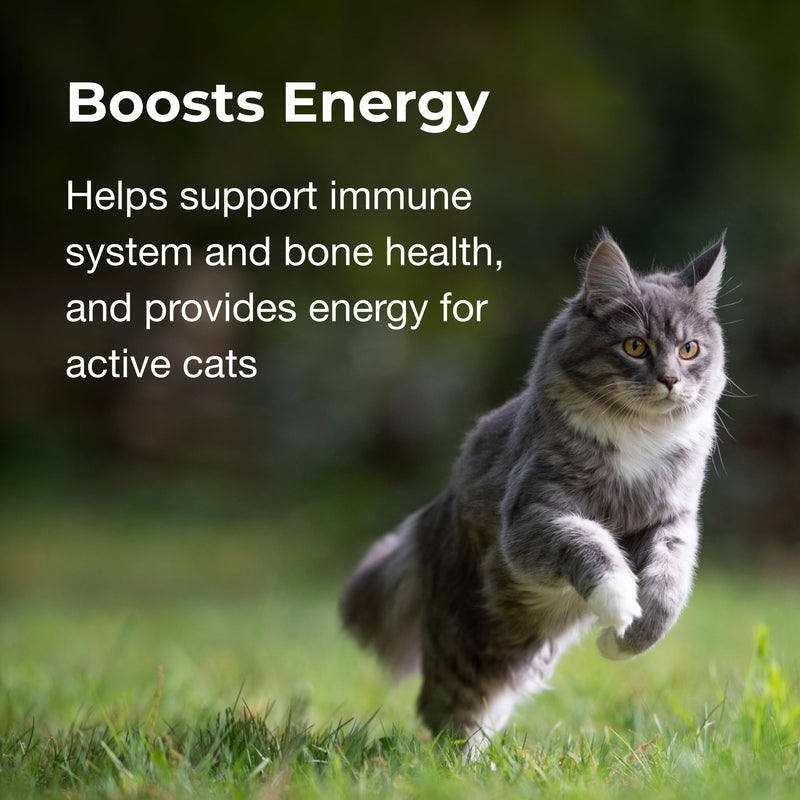PetAg Vitamin & Mineral Gel Supplement for Cats - 3.5 oz - Provides Basic Daily Vitamins & Minerals for Cats 4 Months and Older - Easy to Digest