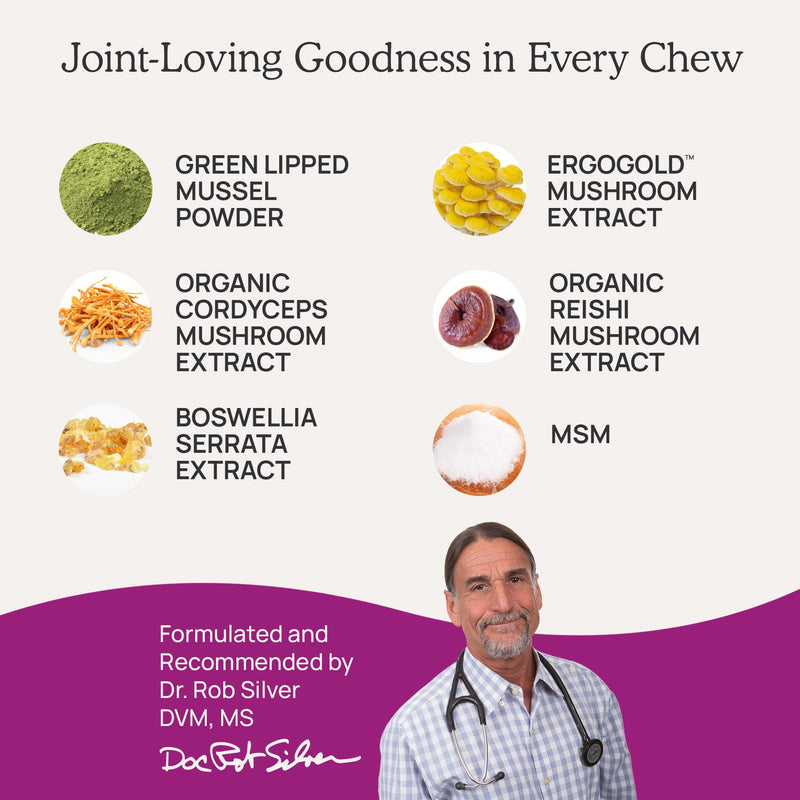 Real Mushrooms Mobility Chews - Hip and Joint Supplement for Dogs and Cats - Green Lipped Mussel Powder and Organic Ergo Gold Vitamins for Flexibility, Mobility, Hip and Joint Support (240 ct) - PawsPlanet Australia