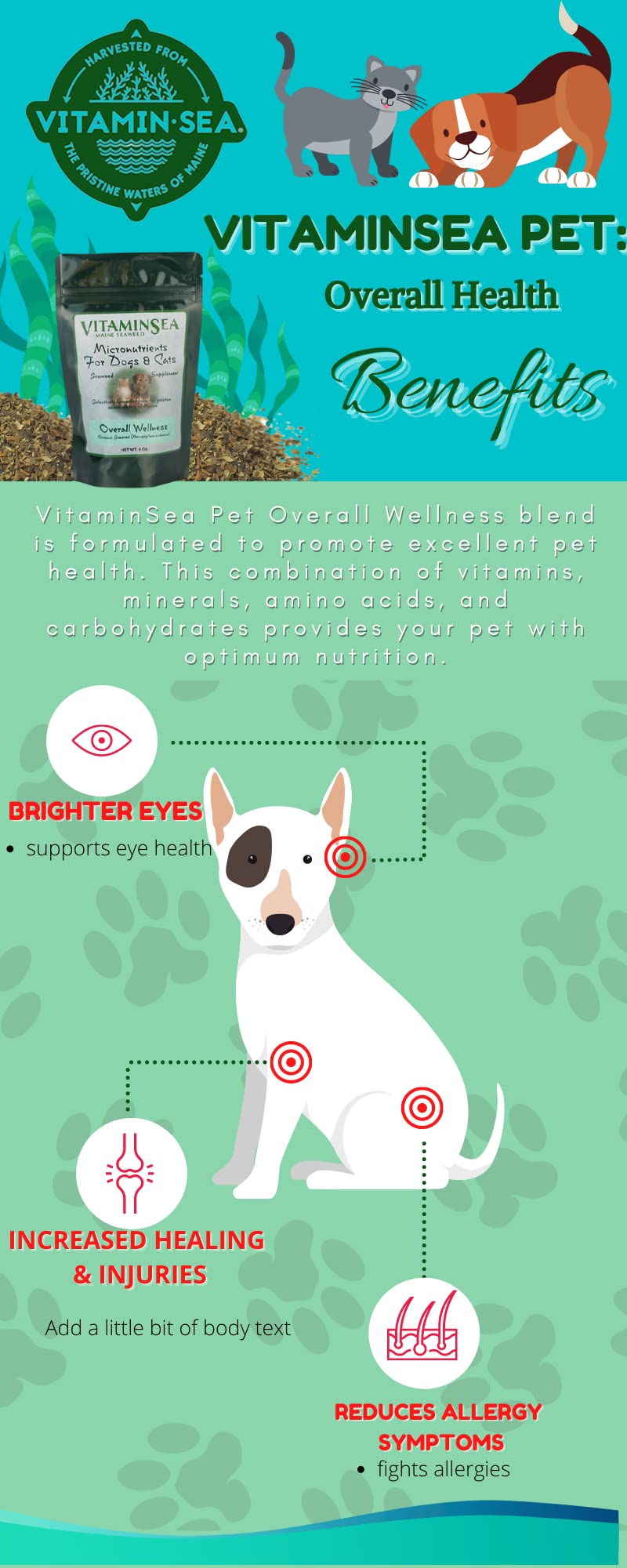 VITAMINSEA Micronutrients for Dogs & Cats | Dried Norwegian Kelp Seaweed Supplement | All Natural Food Additives | Rich in Vitamins, Minerals & Amino Acids | Rockweed Flakes for Overall Health | 6 oz Overall Wellness