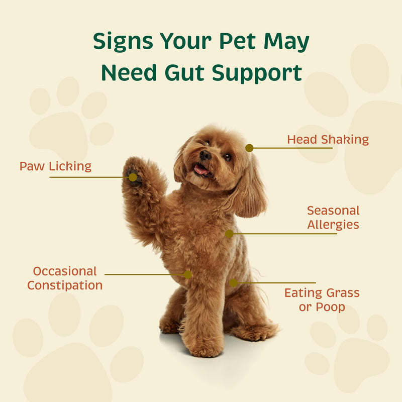 Spirited Paw Probiotic + Gut Health - Digestive & Immune Support for Dogs & Cats - Prebiotic, Probiotic & Postbiotic Pet Care Blend with Organic Buckwheat & Chicory Root Fiber - 90 Capsules