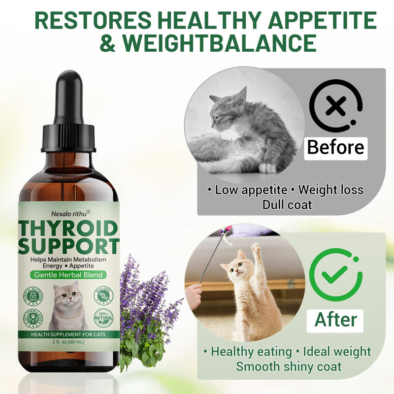 Thyroid Support for Cats - Effective Appetite Stimulant and Weight Gainer,Helps Balance Metabolism and Promote Healthy Weight Gain for Cats,Vet-Formulated Herbal Supplement–with Bugleweed, Lemon Balm