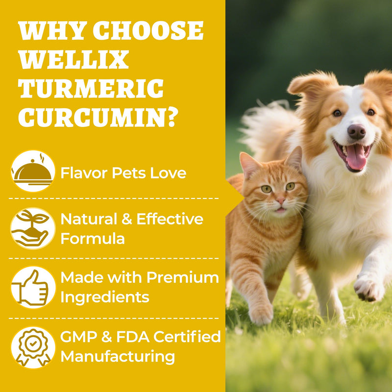 Wellix 250g Turmeric for Dogs & Cats - Long-Lasting Hip and Joint Supplement - Easy Absorb Natural Turmeric Powder for Dogs Pain Relief & Anti-inflammatory, Dog Cat Joint Supplement