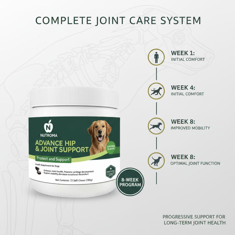 Dog Joint Supplement – Advanced Hip & Joint Support Soft Chews with Glucosamine, Chondroitin, MSM, Omega 3 & Green Lipped Mussels – Chicken Flavor Mobility & Cartilage Health – 72 Count