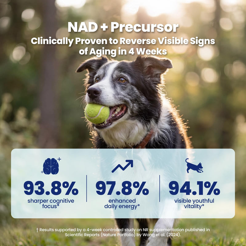 NAD+ Precursor & Senior Dog Supplement - 90 Soft Chews - NMN Alternative for Longevity & Healthy Aging - Nicotinamide Riboside, Resveratrol, Quercetin - Filet Mignon Steak Flavor Filet Mignon Steak & Beef