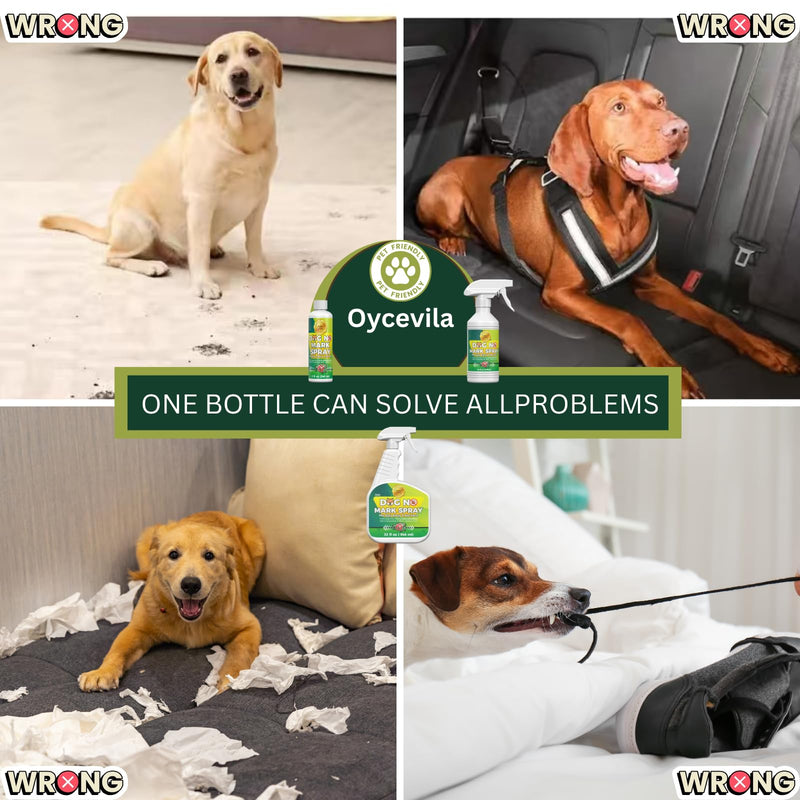16oz No Urine Spray for Dogs - Dog Not Here Formula - Urine No Marking Spray - Puppy No Wrong Pee - Housebreaking Spray - Marking Deterrent for Furniture 18.3 Fl Oz