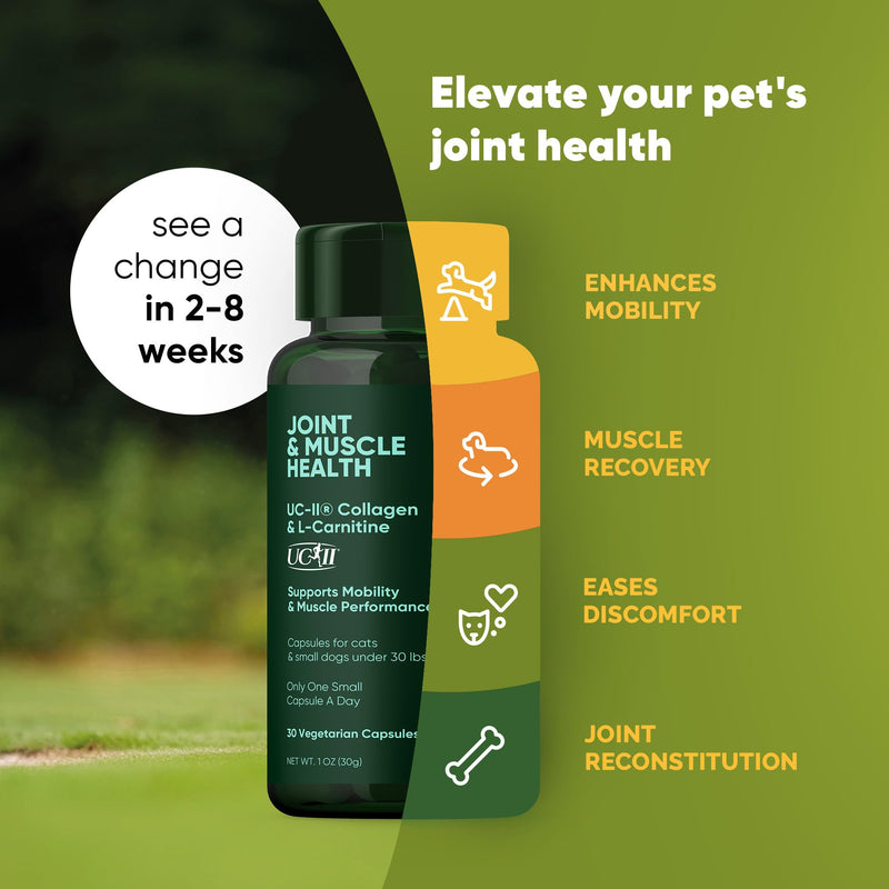 Natural Supplements Joint & Muscle Health Capsules - Hip and Joint Supplements for Cats and Small Dogs with UC-II Type II Collagen and L-Carnitine - 30/ct - PawsPlanet Australia