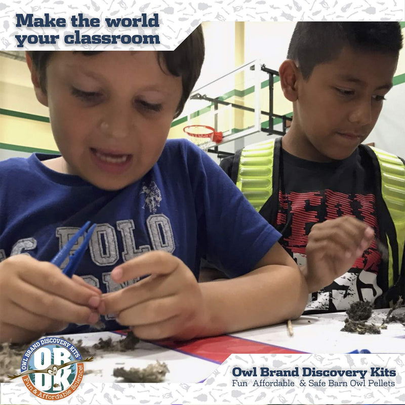 OBDK Barn Owl Pellets for Dissection - 1 Pack Jumbo Sized (2.0"-Larger) with Tools, Guide and Charts from Owl Brand Discovery Kits Jumbo (2.5 inches and Larger) 1-pack - NewNest Australia