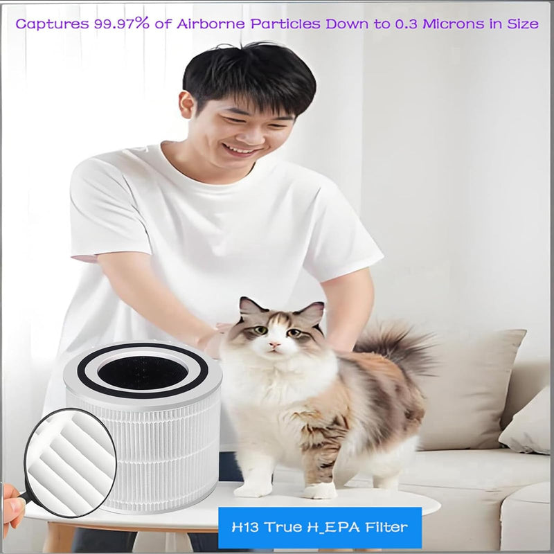 Replacement Filter for OLIXIS/DUMOS JHQ-D22-WT/BKJ-22G Air Purifier