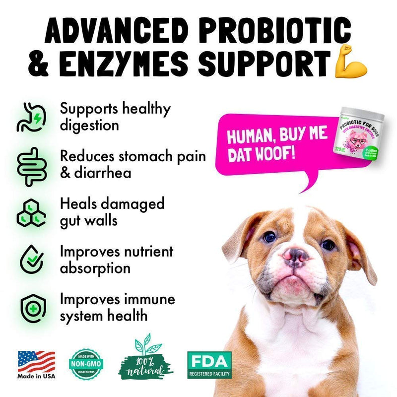 LEGITPET Probiotics for Dogs with Natural Digestive Enzymes + Prebiotics for Allergy & Itch Relief 120 Soft Chews and Paw Balm Wax Soother & Moisturizer Cream with Natural Coconut Oil 2oz Bundle