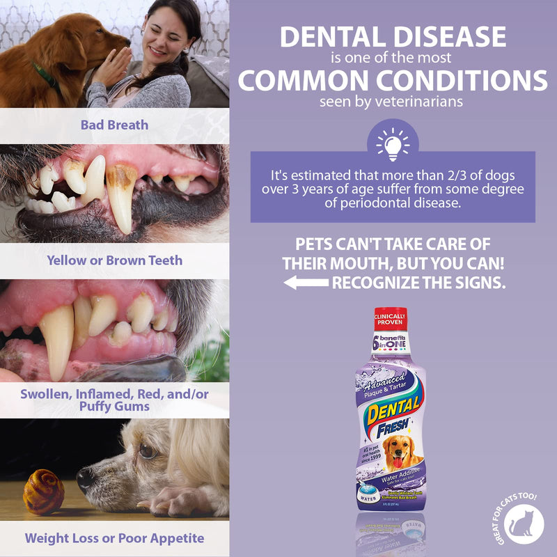 Dental Fresh Advanced Plaque and Tartar Water Additive for Dogs, 8 oz – Dog Teeth Cleaning Formula Targets Plaque & Tartar Build-Up, Eliminates Bad Breath, Whitens Teeth, Improves Overall Oral Health 8 Ounce - PawsPlanet Australia