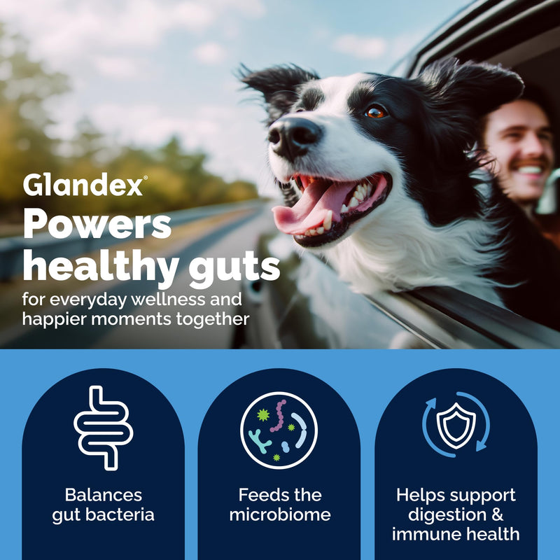 Vetnique Glandex Dog Probiotic Powder, Daily Probiotics for Dogs 5 Strains, Prebiotics & Digestive Enzymes for Gut & Immune Health, Vet Formulated for Occasional Diarrhea (4.25oz Powder, Pork Powder) Probiotic Pork Powder 4.25oz Powder