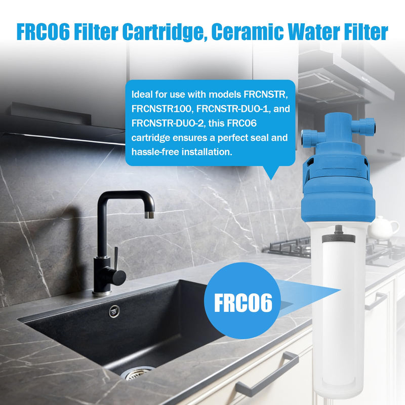 FRC06 Filter Cartridge, Ceramic Water Filter for Franke FRCNSTR Models FRCNSTR100、FRCNSTR-DUO-1、FRCNSTR-DUO-2 Filter Kitchen Sink - 2 PCS