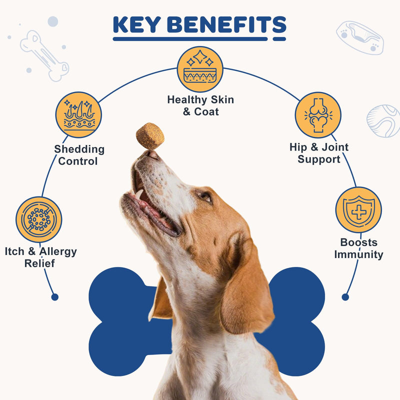 ZEBORA Salmon Oil for Dogs Skin and Coat, Omega 3 Fish Oil for Dogs Skin and Coat