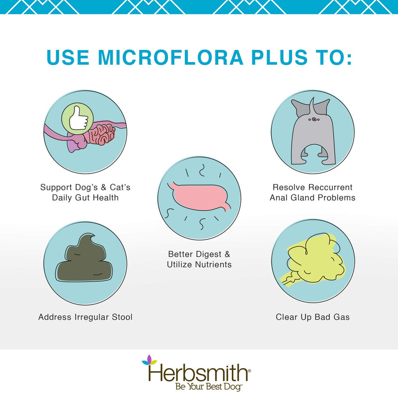 Herbsmith Microflora Plus – Dog Digestion Aid –Probiotics and Digestive Enzymes for Dogs – Prebiotic for Dogs – 60 Capsules - PawsPlanet Australia