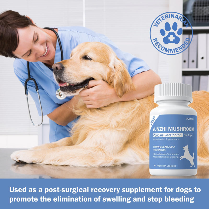 Quick Stop Bleeding for Dogs, Yunnan Sanqi Capsules for Dogs for Hemangiosarcoma, Hemoabdomen, Severe Bruising, Hemangiosarcoma & Hemoabdomen - Rich in PSP & Beta Glucans, Turkey Tail 60 Capsules