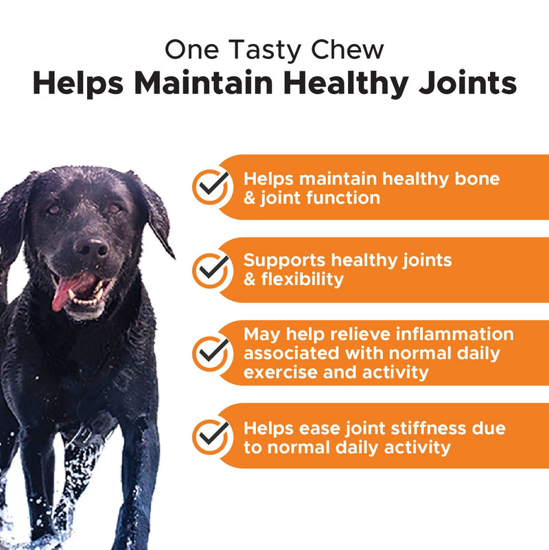PetHonesty Allergy Support + Hip & Joint Health Soft Chew Bundle - Skin & Seasonal Pollen Allergies - Itch Relief for Dogs - Joint Support, Chondroitin, MSM, Turmeric, Pet Joint Pain Relief Vitamin - PawsPlanet Australia