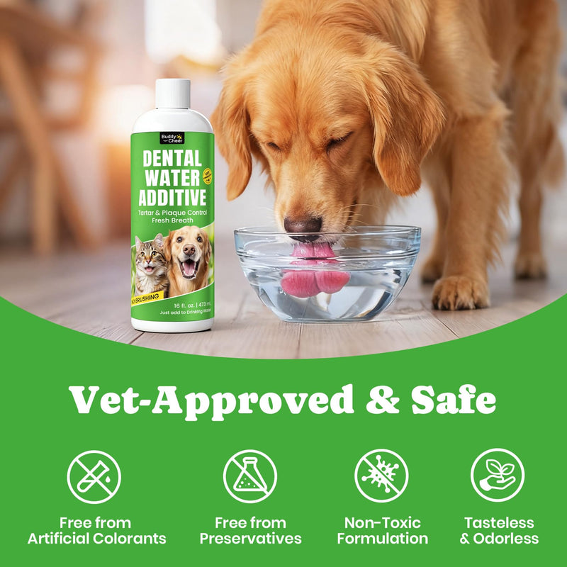 Cat Oral & Joint Support Bundle – Dental Water Additive with Joint Support Creamy-Filled Treats for Mobility & Daily Comfort