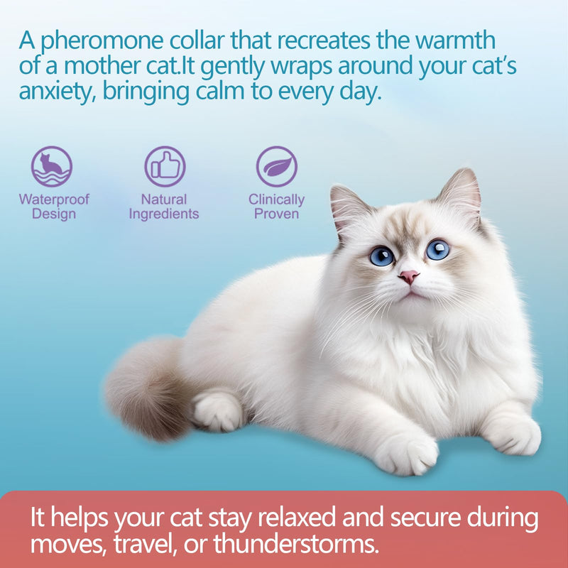 Cat Calming Collar (4-Pack) with Pheromone & Lavender, Relieves Anxiety & Stress, 30 Days Lasting Mood Relief, Adjustable Waterproof Collar for Kittens and Adult Cats L1
