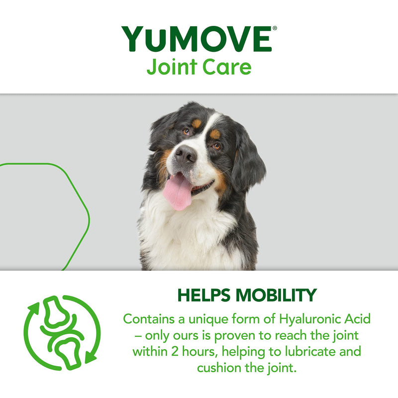 YuMOVE Senior Dog | Hip and Joint Supplement for Stiff Adult Dogs with Glucosamine, Chondroitin, Green Lipped Mussel | 9 years and older | 240 tablets 240 compresses - PawsPlanet Australia