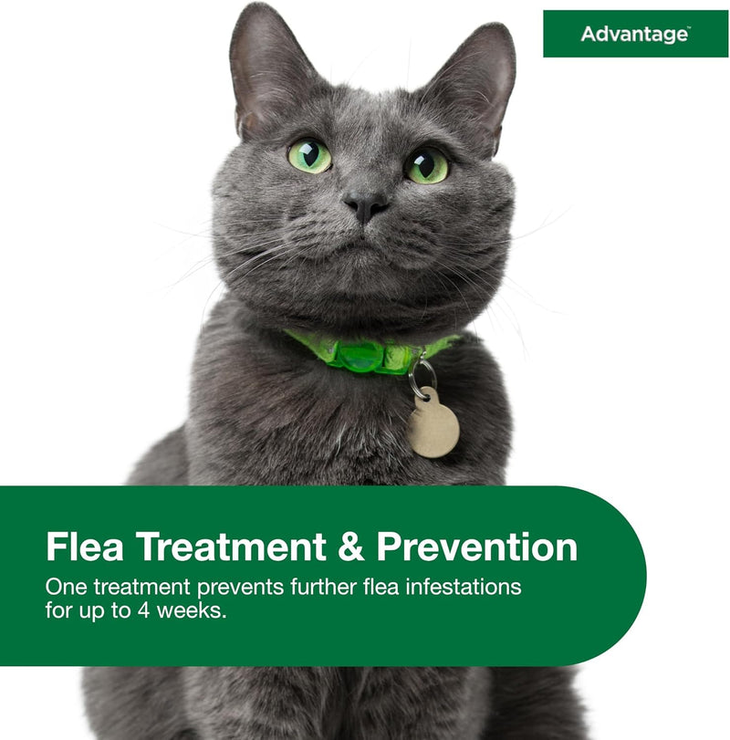 Bundle of Advantage Topical Flea Treatment and Prevention for Large Cats Over 9 lbs. + Advantage Household Flea Fogger for Home | 2 oz. Canisters (Pack of 3) Large Cat + Fogger
