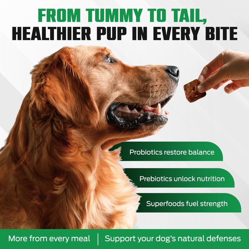 K10 Probiotic Chews for Dogs (60ct) – Advanced Digestive Support with Probiotics, Prebiotics & Superfoods – Vet-Preferred Dog Supplement for Digestion, Immunity, Skin, Coat & Everyday Vitality Probiotic 60 Count