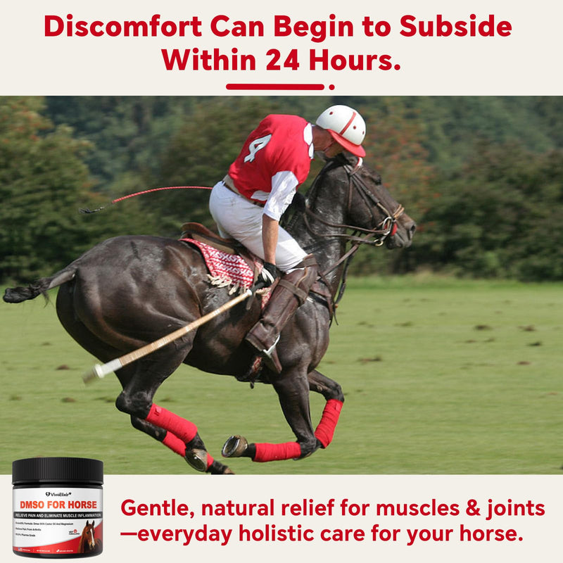 Liniment Gel DMSO for Horses | Veterinary Liniment Gel | Medical-Grade DMSO | Magnesium & Castor Oil Horse Cream for Joint & Muscle Pain | Horse Pain Relief | Muscle Pain Gel - 60g