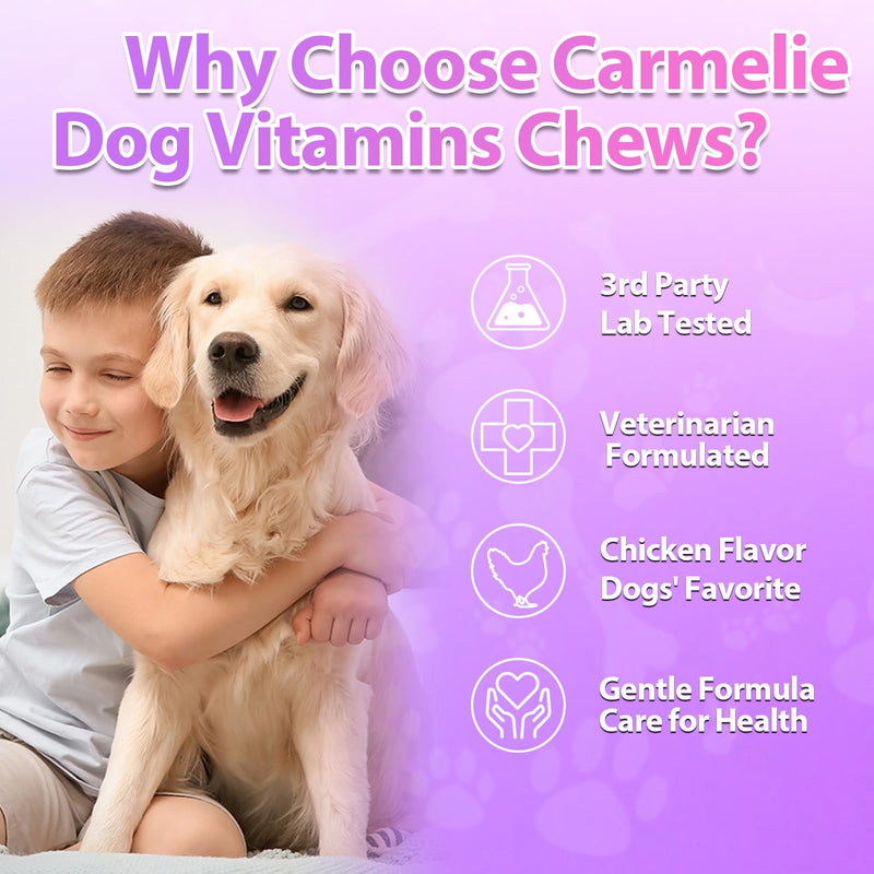 Carmelie Dog Vitamins, 24 in 1 Dog Vitamins and Supplements, 200 Chews with Glucosamine Probiotics Omega-3 Puppy Multivitamins Chewable for Hip & Joint, Skin & Coat, Immune Health, Digestive (Chicken)