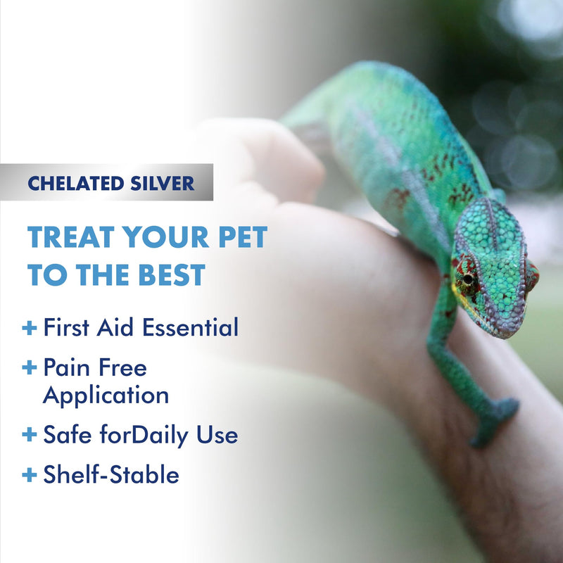 PetSilver Reptile Wound Spray with Chelated Silver - Relief of Skin Issues, Burns, Sores, and Scale Rot - Treatment for Snakes & Lizards - Reptile Wound Care - Non-toxic & Safe - Made in USA - 2 fl oz 2 oz - PawsPlanet Australia