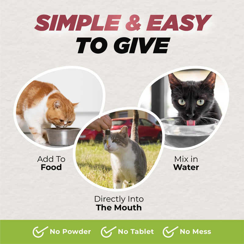 BUDDY'S BEST Ringworm Relief Spot-On Treatment for Dogs & Cats: Natural, Fast-Acting Formula with Jojoba & Neem Oil, Soothes & Heals Skin, Easy Application, 50ml - PawsPlanet Australia