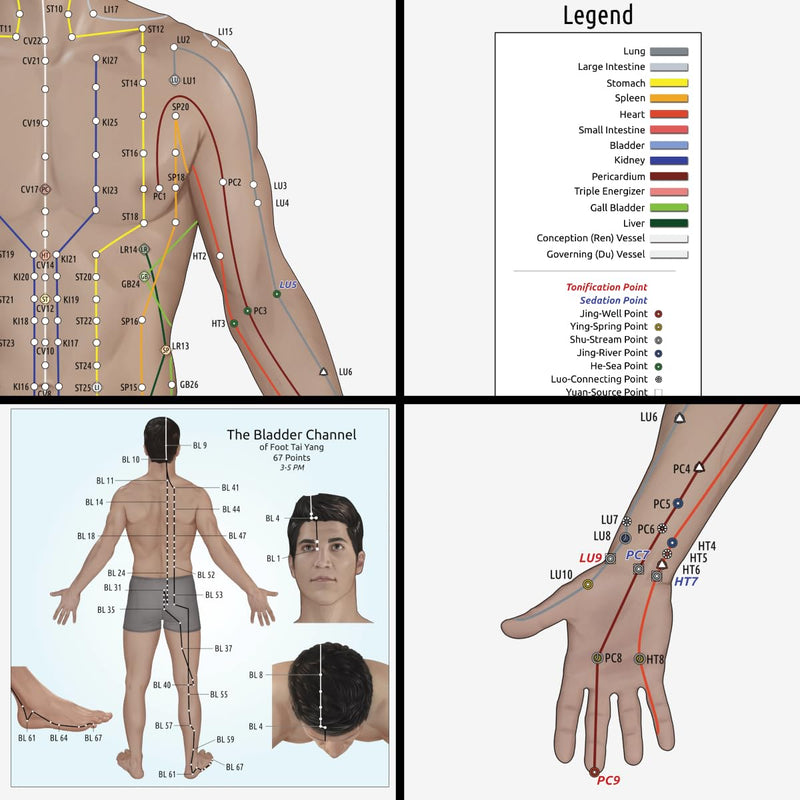 Miridia Acupuncture Chart - Huge Laminated Anatomical TCM Meridian & Points Poster - Clinic/Study Use - Accurate Acupuncture Point Chart - Clear Labels - Comprehensive Meridian System - 36x36, Male 36"L x 36"W