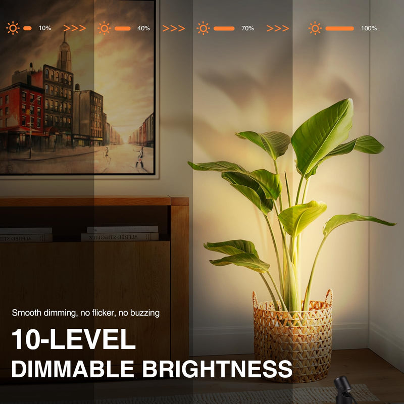 3000K/4000K/5000K Uplighting Indoor 3W LED Spotlight Indoor Plug-in with Memory Function Floor Spot Lights Indoor with Remote Control Dimmable Uplights Indoor for Plant/Picture/Artwork, 2 Pack