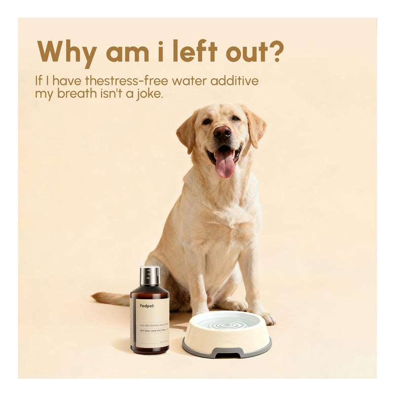 Advanced Probiotic Pet Dental Water Additive, Bio-Active Formula to Fight Oral Bacteria at The Source, Freshens Breath, Reduces Plaque & Tartar, Just Add to Water, Vet Recommended, 9.8 oz