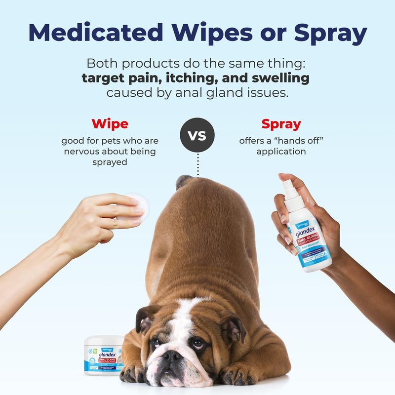 Vetnique Glandex Medicated Dog Butt Wipes & Spray for Dog Scooting - Topical Anti Itch Skin Relief for Soothing Inflamed Anal Glands in Dogs & Cats - Fast Acting Formula 50ct (50ct Wipes) 50ct Wipes - PawsPlanet Australia