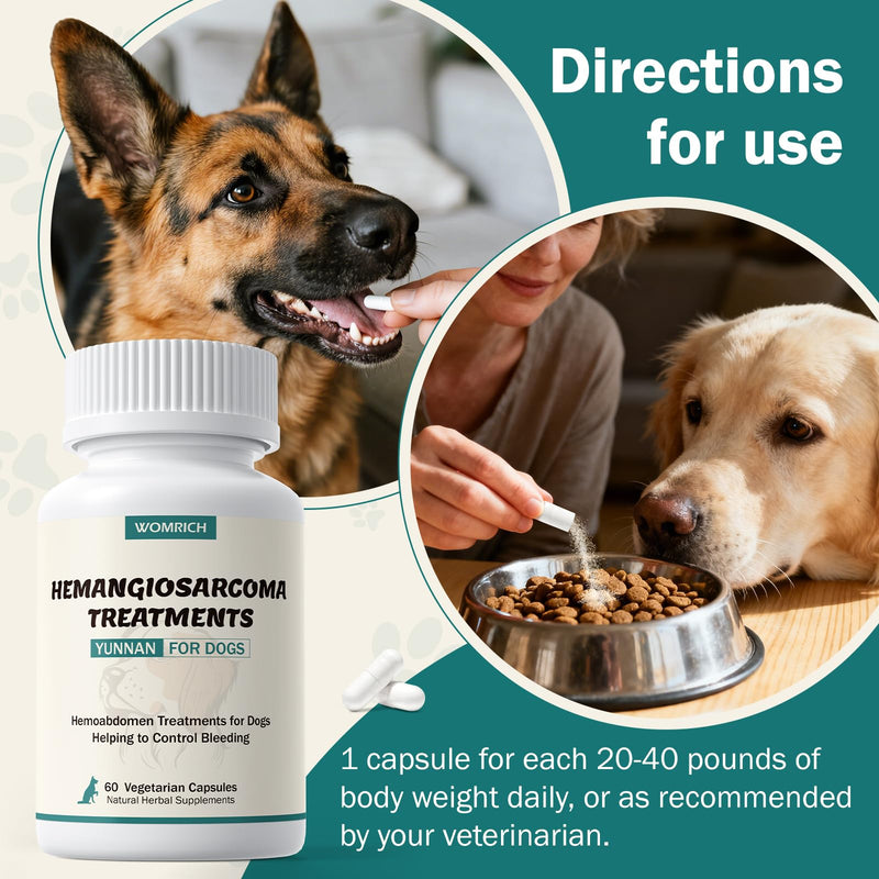 Yunnan Sanqi Capsules for Dogs, Natural Therapy for Hemangiosarcoma, Hemoabdomen, Pericardial Effusion, Cancer Bleeding, Nose Bleed, Bloody Stools, Extends Your Dog’s Lifespan