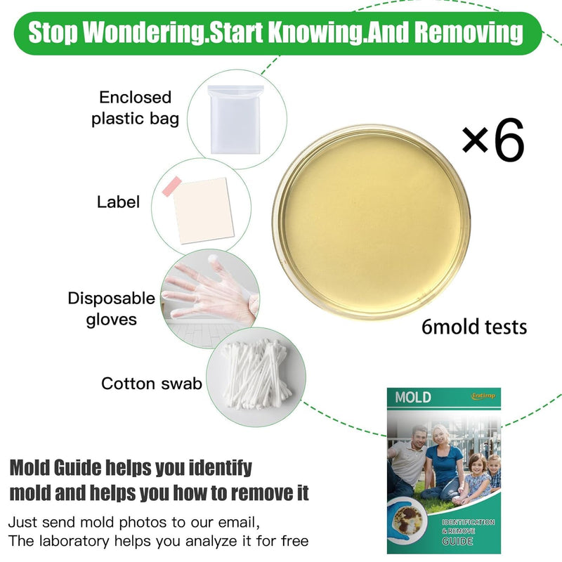 Mold Test Kit for Home Within 6 Individual Tests,DIY Detector at Home,Surface Mold,HVAC,Indoor Air Quality Testing Kits,Black Mold Testing,Includes Detailed Mold Identification Guide and Free Lab