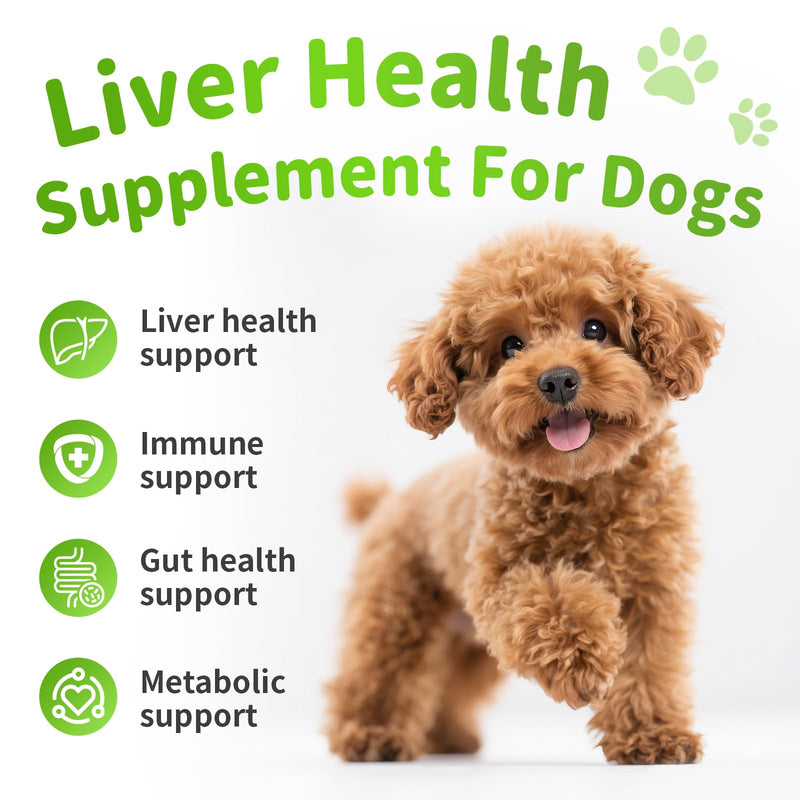 Dog Liver Support Chews - with Milk Thistle (Silybum), Same & NAC - Liver Supplement for Metabolic - Detox - Gut & Immune Health - Beef Flavor, 90 Soft Chews Beef 90 CT