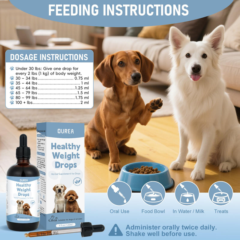 Weight Management Drops for Dogs, Effective Dog Weight Loss Drops, Healthy Weights Nutritional Supplement, Energy Metabolism Support, Weights Loss Pet Food, Natural Solution Hunger Control Supplements