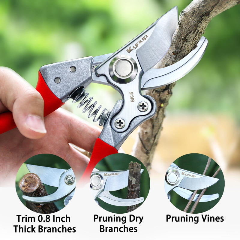 Kynup Pruning Shears for Gardening, Garden Hand Shears, Professional Bypass Pruner Hand Shears Heavy Duty, Pruners for Gardening, Garden Clippers, Hedge Shears, Garden Tools(Red) V11 Red