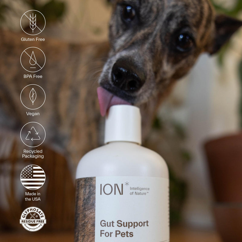 ION Intelligence of Nature Gut Support for Pets | Strengthens Digestion, Supports Kidneys, Aids Immune Function, and Defends from Food Toxins (8 Ounce) 8 Ounce