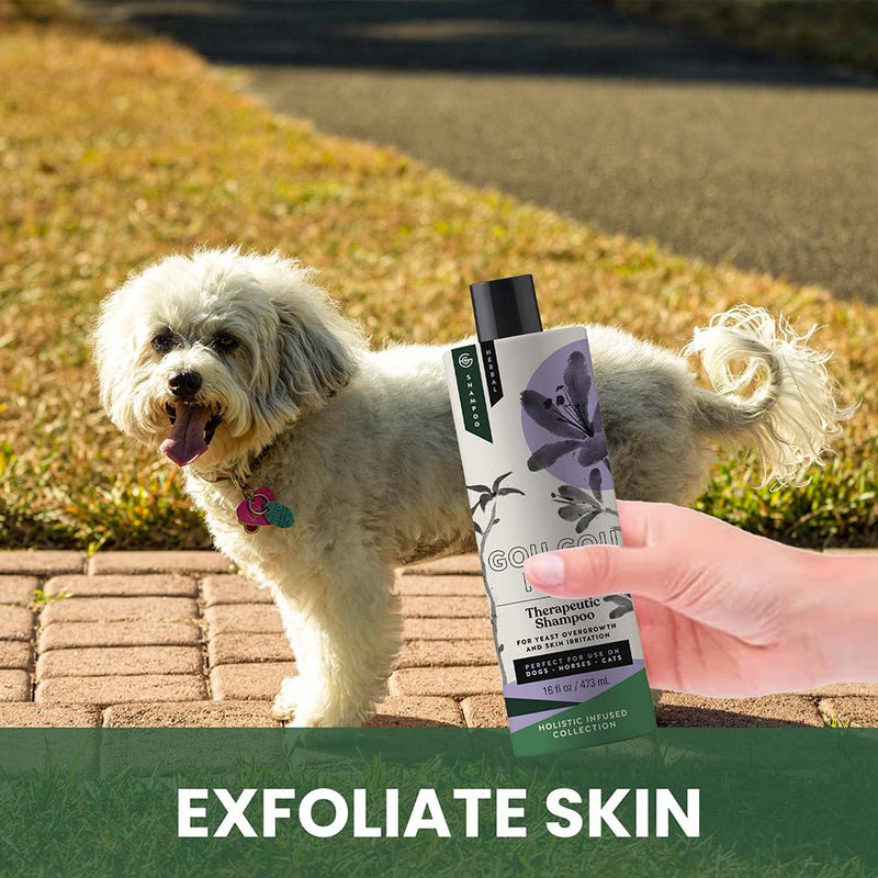 Holistic Natural Anti-Fungal Shampoo for Dogs, Cats & Horses: Veterinarian Recommended: Relieve Itching & Flaking Skin Caused by Fungal Infections & Skin Conditions - Made in USA - 16 oz Anti-Fungal Citrus Fruity - PawsPlanet Australia