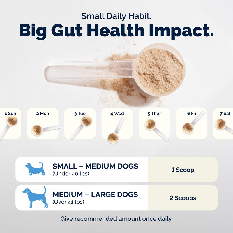 Vetnique Glandex Dog Probiotic Powder, Daily Probiotics for Dogs 5 Strains, Prebiotics & Digestive Enzymes for Gut & Immune Health, Vet Formulated for Occasional Diarrhea (4.25oz Powder, Pork Powder) Probiotic Pork Powder 4.25oz Powder